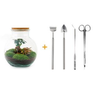 Flaschengarten - Teddy bonsai - Rake + Shovel + Tweezer + Scissors