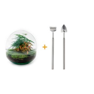 Flaschengarten - Dome Rot - Rake + Shovel