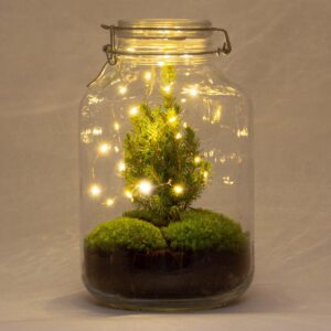 DIY Flaschengarten - Jar Christmas