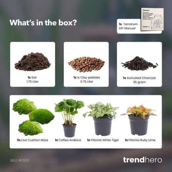 Flaschengarten paket - Coffea Arabica