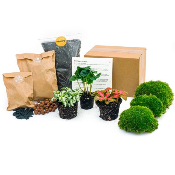 Flaschengarten paket - Coffea Arabica