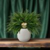 205c0b46dc874e488cef7e988c7a41b855957f37a8cf4d43876aea196a090ba9.jpg Nephrolepis Grüne Dame